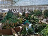 Tourist Begins Fifth Consecutive Day Hopelessly Lost In Opryland Hotel&nbsp;Atriums